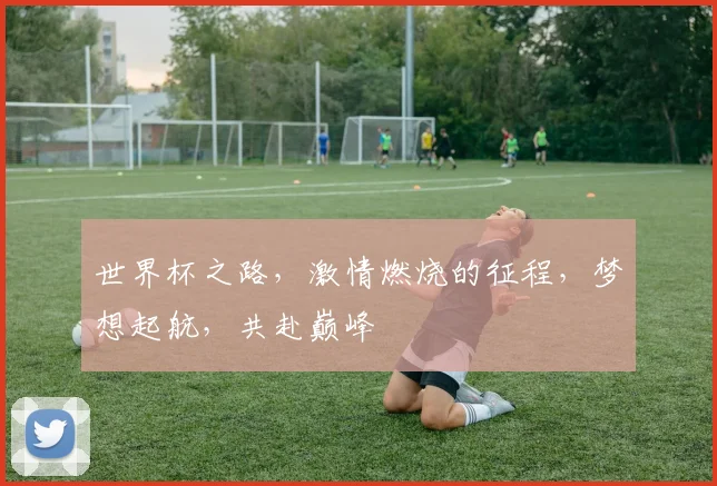 世界杯之路，激情燃烧的征程，梦想起航，共赴巅峰