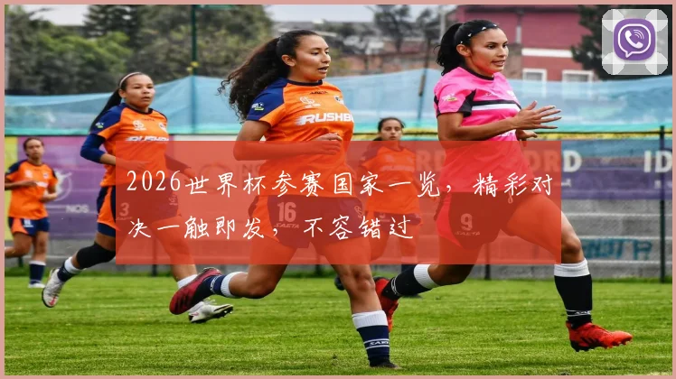 2026世界杯参赛国家一览，精彩对决一触即发，不容错过