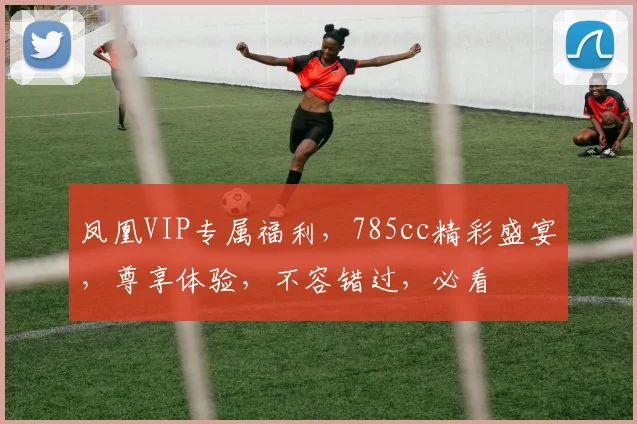 凤凰VIP专属福利，785cc精彩盛宴，尊享体验，不容错过，必看