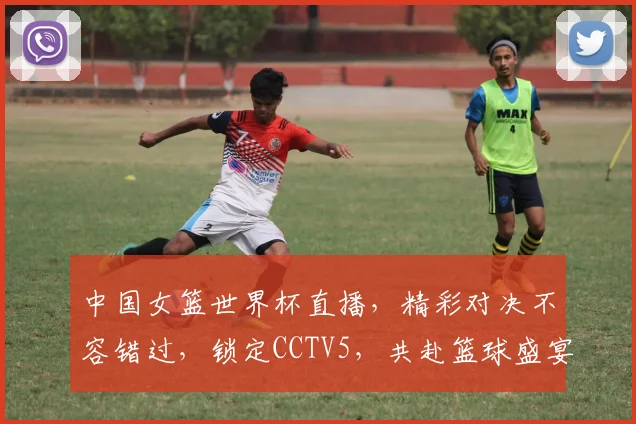 中国女篮世界杯直播，精彩对决不容错过，锁定CCTV5，共赴篮球盛宴